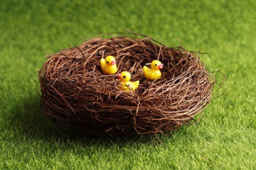 Exasinine-10-Pcs-55-Artificial-Bird-Nest-for-Crafts-Easter-Party-Wedding-Patio-Garden-Succulent-Planter-Moss-Landscape-DIY-Terrarium-and-Spring-Vignettes-55-Inches Exasinine 10 Pcs 55 Artificial Bird Nest for Crafts Easter Party Wedding Patio Garden Succulent Planter Moss Landscape DIY Terrarium and Spring Vignettes 55 Inches