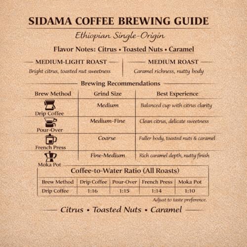 Café SINA COFFEE Premium 100% Arábica en Grano 12 oz miniatura 2