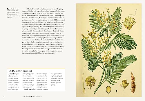 Kew: Parched: 50 Plants That Thrive and Survive in a Dry Garden