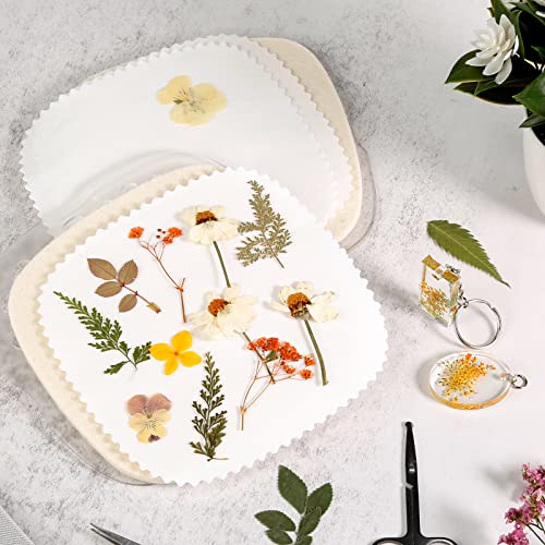 Aboofx Mikrowellen-Blumenpresse, schnell Blumenpress-Trocknungsset 16x16 cm Mikrowellen-Blumenpress-Set für Erwachsene… - Image 5