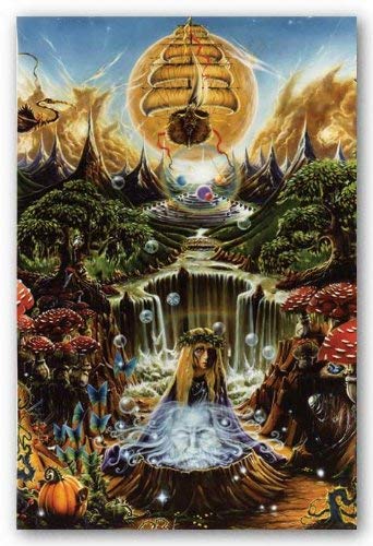 Labyrinth Falls by Richard Biffle Art Print Laminated Poster 24.5 x 36.5 inches