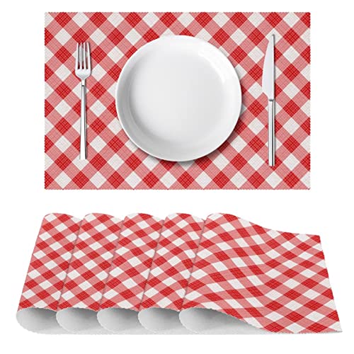 Set de table vichy rouge lavable résistant chaleur table manger