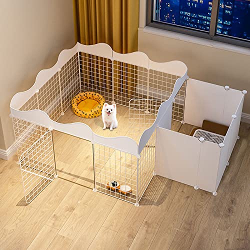 ̃vCy - ̃yAL̃vCyA^ybgvCyegP[WPl܂肽݃tFXdiy^C[[htFXƃhAƌ FANDIAO