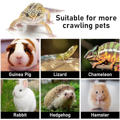 Image of Bearded Dragon Leash & Harness 3 Size, Adjustable Leather Lizard Reptiles Harness Leash for Guinea Pig,Chameleon and Other Small Animals-Yellow