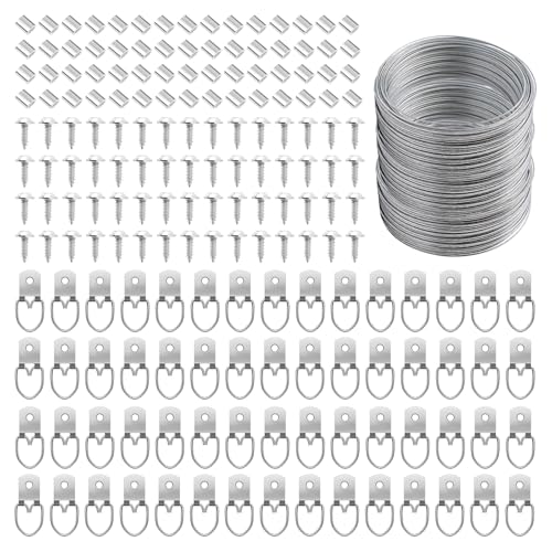 181 Pcs Zruosiniy Premium Picture Hanging Kit 100FT Braided Hanging Wire 60 D Ring Hangers with Screws 60 Aluminum Crimping Sleeves Heavy Duty for Frames Mirrors Canvas Artwork & Home Decor