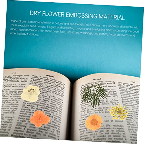 Kit 40 flores secas prensadas elegantes para manualidades miniatura 2