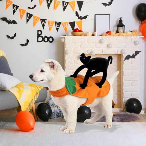 Halloween Haustiere Cosplay Kostüme, Lustige Hundekleidung mit stehender schwarzer Katze, Haustier-Outfit Halloween, lustige Hundekatze Kostüm mit schwarzer Katze, für die Hunde und Katzen (XL)