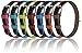 Dogline Wide 3/4