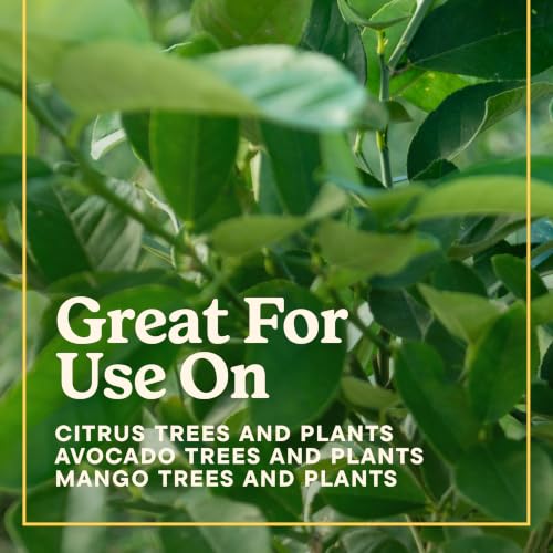 Miracle-Gro Shake 'N Feed Citrus, Avocado, Mango Plant Food - Fertilizer for Container and In-Ground Plants, Citrus, Avocado and Mango Trees, 4.5 lbs. - image 9