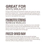 360-Pet-Nutrition-Freeze-Dried-Raw-Complete-Meal-for-Adult-Dogs-High-Protein-Omega-3s-No-Fillers-Made-in-The-USA-16-Ounce-Multi-Meat