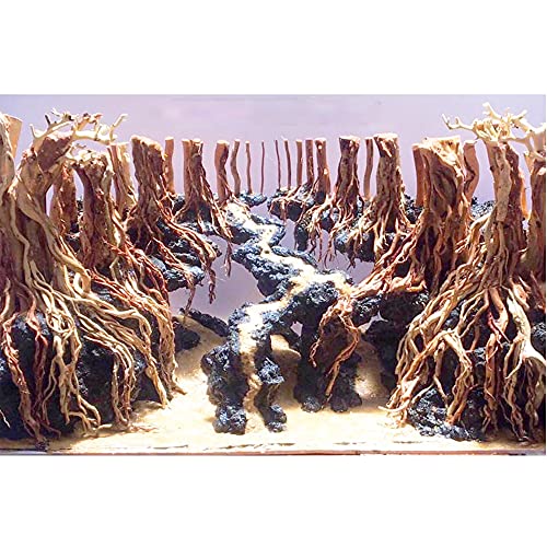 StoreLux Aquarium Driftwood Tree, Driftwood Tree for Aquarium, Bonsai Drift Wood for Aquarium, Bonsai Driftwood Large, Driftwood for Aquarium, Aquarium Driftwood Freshwater ((40W x 30H x 30D) cm)