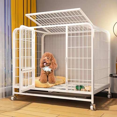 Armoire de sechage pour animaux de compagnie, ���p�N���[�g�A���ɂ������p�P�[�W�A�V�����A�b�v�O���[�h���ꂽ���݂̂���p�Ǒf�ށA���O���\�ȃg���C�t��(61x45x55cm)