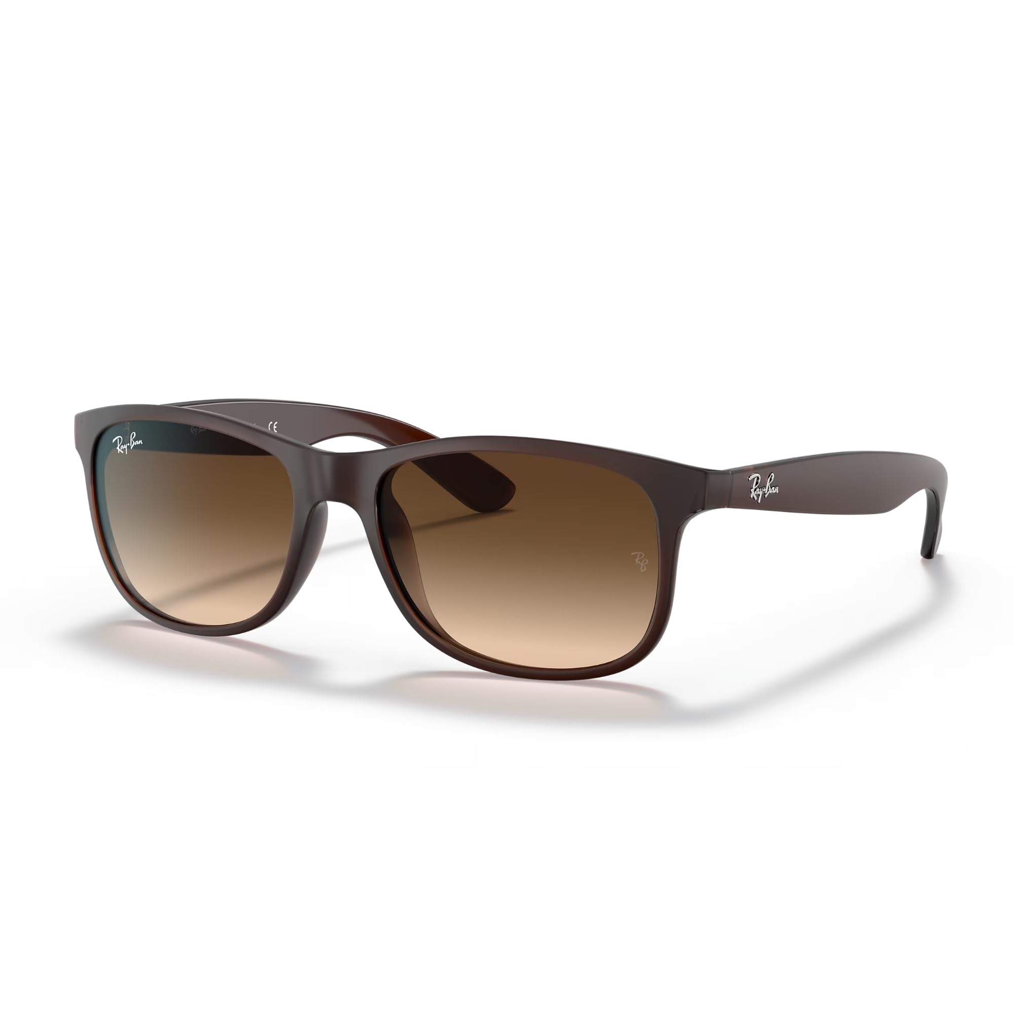 Ray-Ban RB4202 Andy