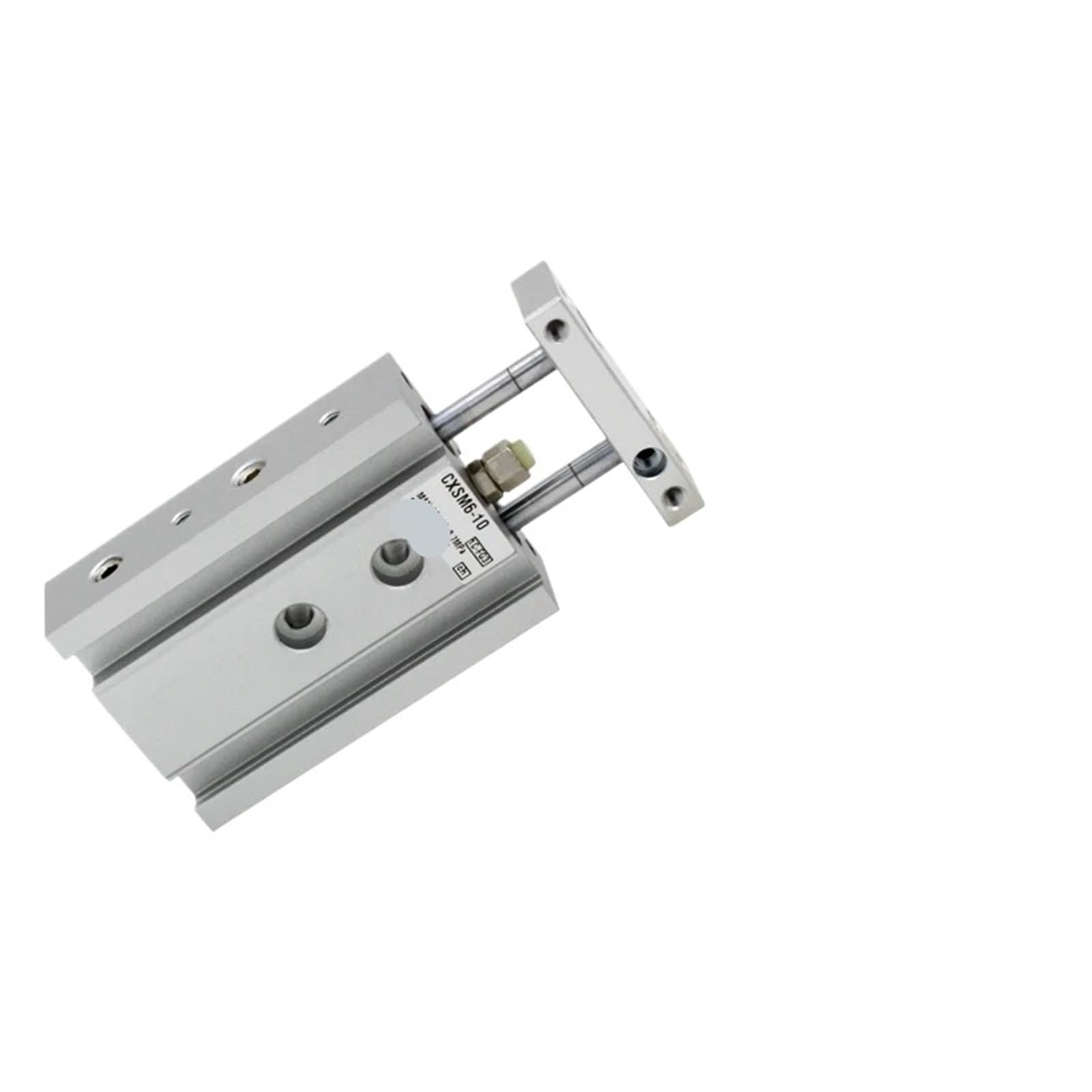 Cylindre double tige CXSM6-40 résout les problèmes de torsion pneumatique