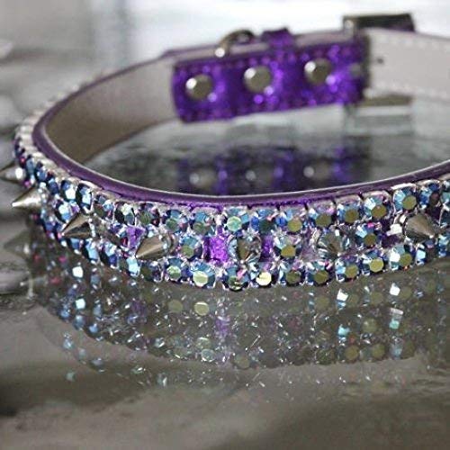purple spiked dog collar