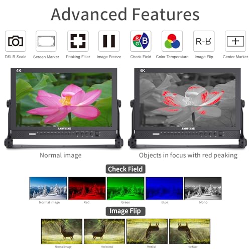 Image of ANDYCINE C173S 17.3 Inch 1920x1080 Resolution 4K HDMI 3G-SDI Input and Output Broadcast Production Monitor,Desktop Director's Monitor with YPbPr, Video