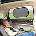 Evenflo Car Seat Four-Piece Accessory Starter Kit