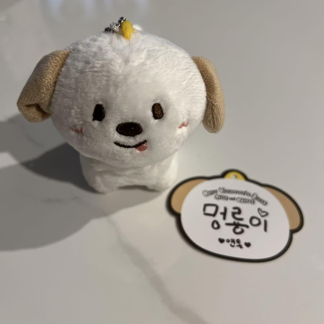 RIIZE アントン モンリョンイ ペンラカバー ぬいぐるみ マスコット MD RIIZE riize アントン ペンライトカバー シュシュ モンリョンイ
