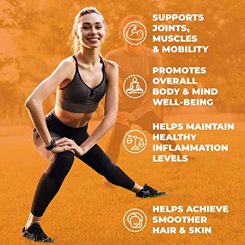 Vimerson Health Men's Multivitamin + Turmeric Hemp Bundle. Immune Support, Joint Discomfort Relief, Balanced Inflammation, Antioxidant Properties, Stress And Sleep Support For Him #TOP4