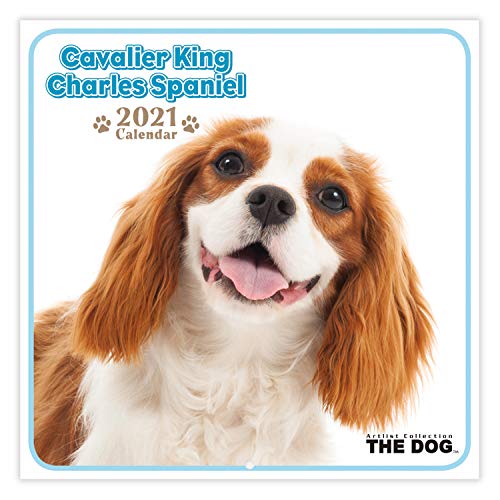 ミニカレンダー ≪キャバリア・キング・チャールズ・スパニエル≫