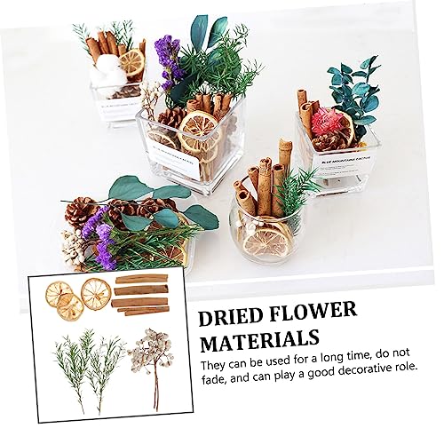 Flores Secas Naturales para Manualidades y Decoración DIY miniatura 7