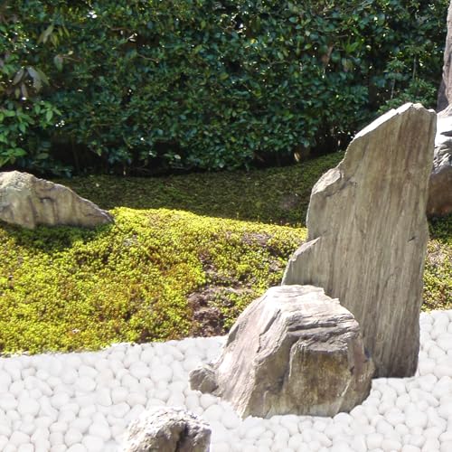 Image of Pulovin 30 lbs White Rocks for Plants Indoor, 1-2 inch Decorative Garden Stone Outdoor Landscaping, Walkways, Yard, Large Polished River Rocks for Plants Pots, Vases, Crafts