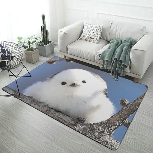 �J�[�y�b�g �V�}�G�i�K ���� �O�~ ���O ���O�}�b�g �h�� �l�C �����` 100x150cm ���g�[�Ή� �ӂ�ӂ�􂦂� ����~�� ������� �v���[���g �I�[���V�[�Y�� �q������