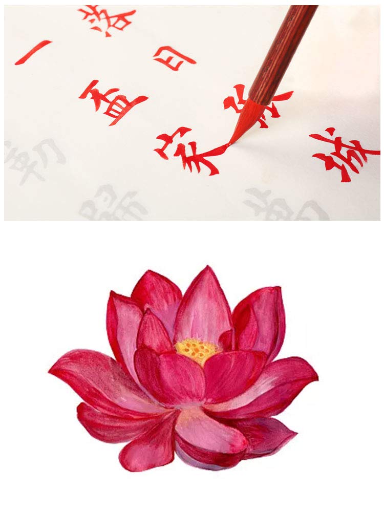 Amazon.com: Chromatic Sumi Liquid Ink for Japanese Brush