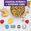 New-Chapter-Womens-Multivitamin-Immune-Energy-Stress-Support--Every-Womans-One-Daily-with-Fermented-Probiotics-Whole-Foods-Vitamin-D3-Biotin-Organic-Non-GMO-ingredients-96-ct New Chapter Women's Multivitamin for Immune, Beauty + Energy Support with 20+ Nutrients -- Every Woman's One Daily, Gentle on the Stomach, 96 Count