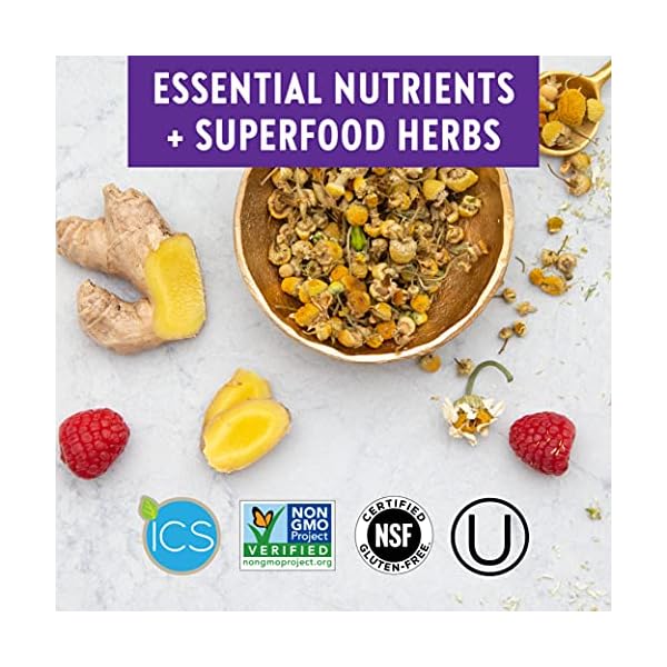 New-Chapter-Womens-Multivitamin-Immune-Energy-Stress-Support--Every-Womans-One-Daily-with-Fermented-Probiotics-Whole-Foods-Vitamin-D3-Biotin-Organic-Non-GMO-ingredients-96-ct New Chapter Women's Multivitamin for Immune, Beauty + Energy Support with 20+ Nutrients -- Every Woman's One Daily, Gentle on the Stomach, 96 Count