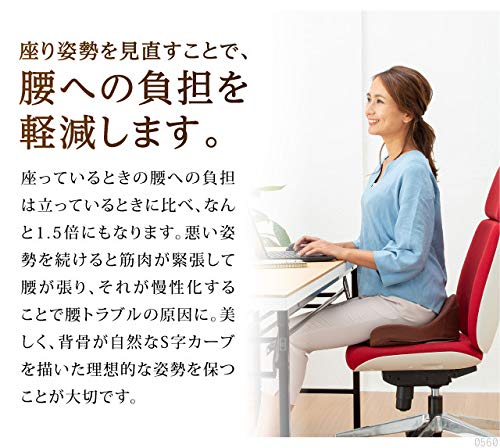 Amazon.co.jp: PROIDEA(プロイデア) 馬具マットプレミアム グリーン 