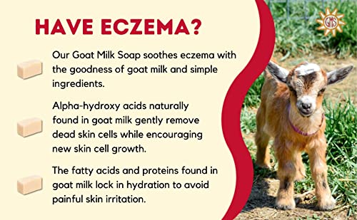 Goat Milk Stuff Goat Milk Soap - Ocean Soap | Handmade All-Natural, Goat Milk Soap Bars For Dry Skin Relief, Body & Face Wash For Men And Women, Bar Soap (Box Of 2) #TOP6