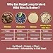 Eat Regal Long Grain & Wild Rice, Nutty & Hearty Blend, Always Fluffy, No Clump & No Kneading, Ready in 1.5 Minutes, 8g Protein, Vegan Gluten-Free Non-GMO, 8.8 oz Pack of 6