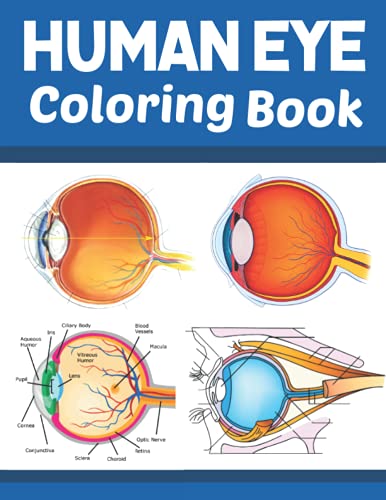 Human Eye Coloring Book