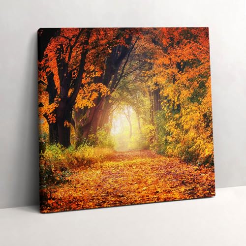 Tableau tunnel forestier d’automne Wallfluent 60x60 cm pour salon