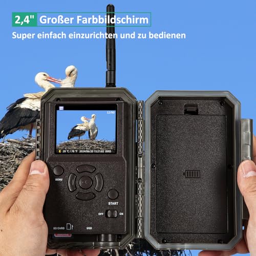 GardePro E6 Wildkamera WLAN Antenne 48MP 1296P mit Bewegungsmelder Nachtsicht No Glow Infrarot 940nm LEDs IP66 Wasserdicht H.264 Video, 110° Weitwinkelsicht, WiFi handyübertragung