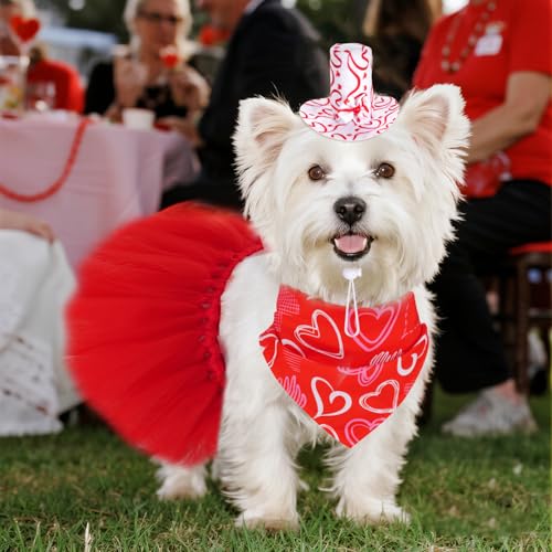 Set de Disfraz para Perro Día de San Valentín 3 piezas miniatura 7