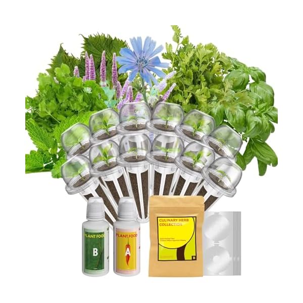   inbloom-Herb-Seed-Pod-Kit-for-AeroGarden-iDOO-Ahopegarden-MUFGA-Hydroponic-Growing-System-Indoor-Garden-12-Pod-350-Seeds-Included-Basil-Mint-Cilantro-Parsley-Shiso-Chicory-Liquorice