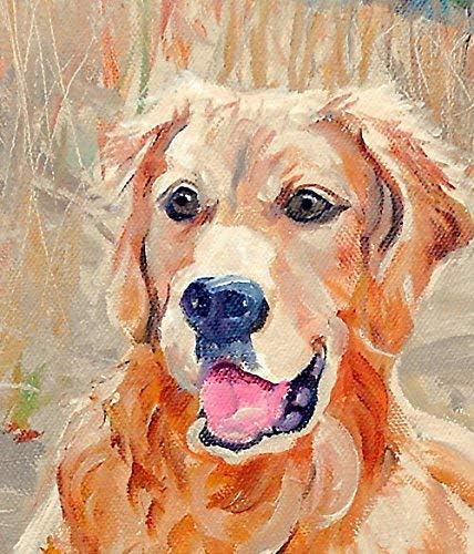 Golden Retriever Oil Painting Dog Portrait