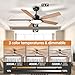 TALOYA 52 Inch Black Ceiling Fans with Lights Led Remote Control Flush Mount Low Profile for Bedroom Living Dining Room Outdoor Farmhouse Patio,Reversible,DC Motor,Diammable,Buzzer ON/Off,5 Blades