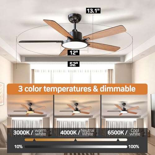 TALOYA 52 Inch Black Ceiling Fan with LED Light, DC Motor & Remote Control