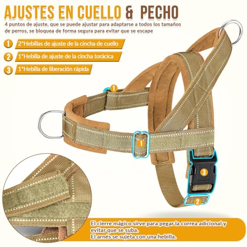 Pecheras para perros 12 Imagen adicional