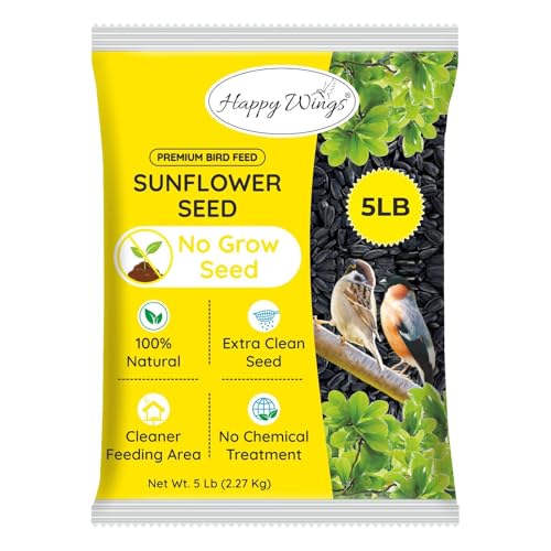 Happy Wings Black Oil Sunflower Seeds for Wild Birds 5 lbs No Grow Seed I High-Energy Bird Food Ideal for Finches, Sparrows, and More I All Year-Round Feeding.
