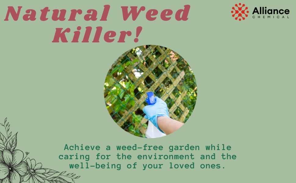 Miniatura 4 de Vinagre al 30% - Caja de 4 galones - Fuerza industrial concentrada