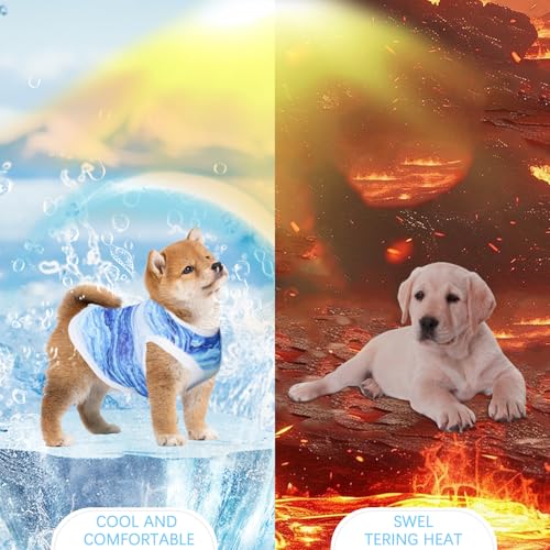 Kühlweste für Hunde, Sommer Cool und Bequem Hundemantel für kleine bis mittelgroße Hunde (M)