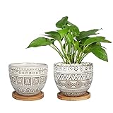 5.5in Geometry Ceramic Planter Large Round Succulent Planter Flower Pot Indoor and Outdoor Brown Set of 2