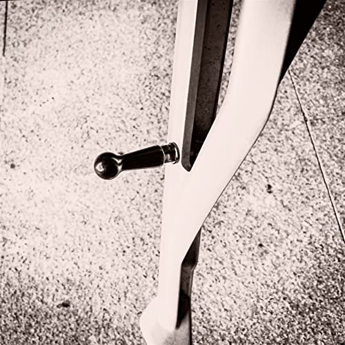 Kick stand pivot vis peg titane élargi pour modification moto Ducati