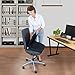 Bonmedico Cojín Todo en uno Comfort, Cojín de Asiento Ergonómico y Respaldo...
