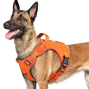 rabbitgoo Dog Harness for Large Dogs No Pull, Tactical Service Pet Vest with Molle and Control Handle, Adjustable and Reflective Military Harness for Easy Walking and Training, Orange, L