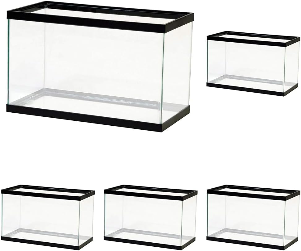 Aqueon Standard Glass 10 Gallon Rectangular Tank for Aquariums & Terrariums (Pack of 5)